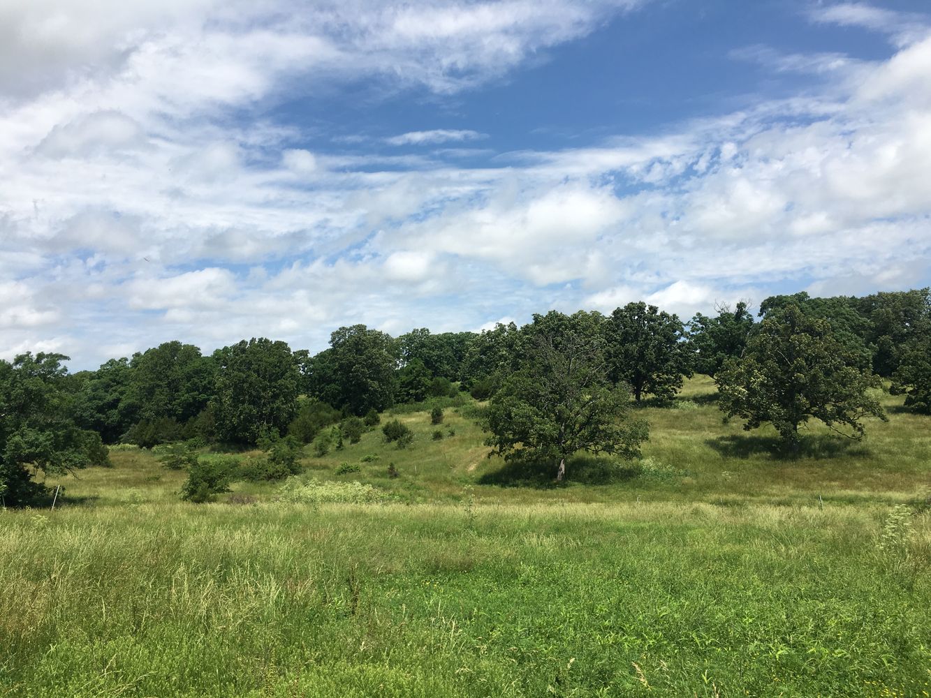 4897 & 4878 Norman Drive, Hartville, MO 65667
